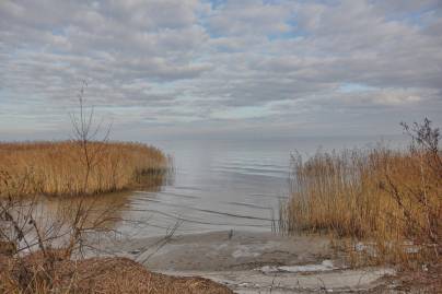 Frühlingsfoto von Czeslaw Gorski-035_frostiger-tag-am-stettiner-haff