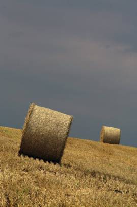 Frühlingsfoto von Czeslaw Gorski-037_ernte-strohrollen-auf-dem-feld