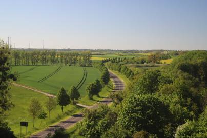 Frühlingsfoto von Czeslaw Gorski-021_blick-von-der-pyramide-in-bruessow