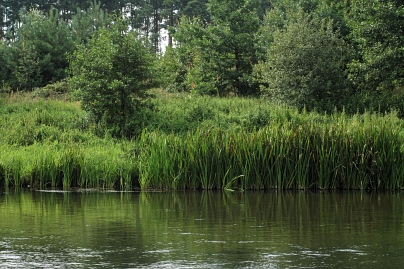 Sommer Foto von Czeslaw Gorski-065_blick-auf-das-ufer-vom-wasser-aus