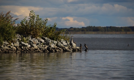 Sommer Foto von Czeslaw Gorski-084_vogelinsel-im-stettiner-haff