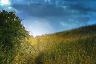 Sommer Foto von Czeslaw Gorski-088_wiese-im-schatten-der-sonne